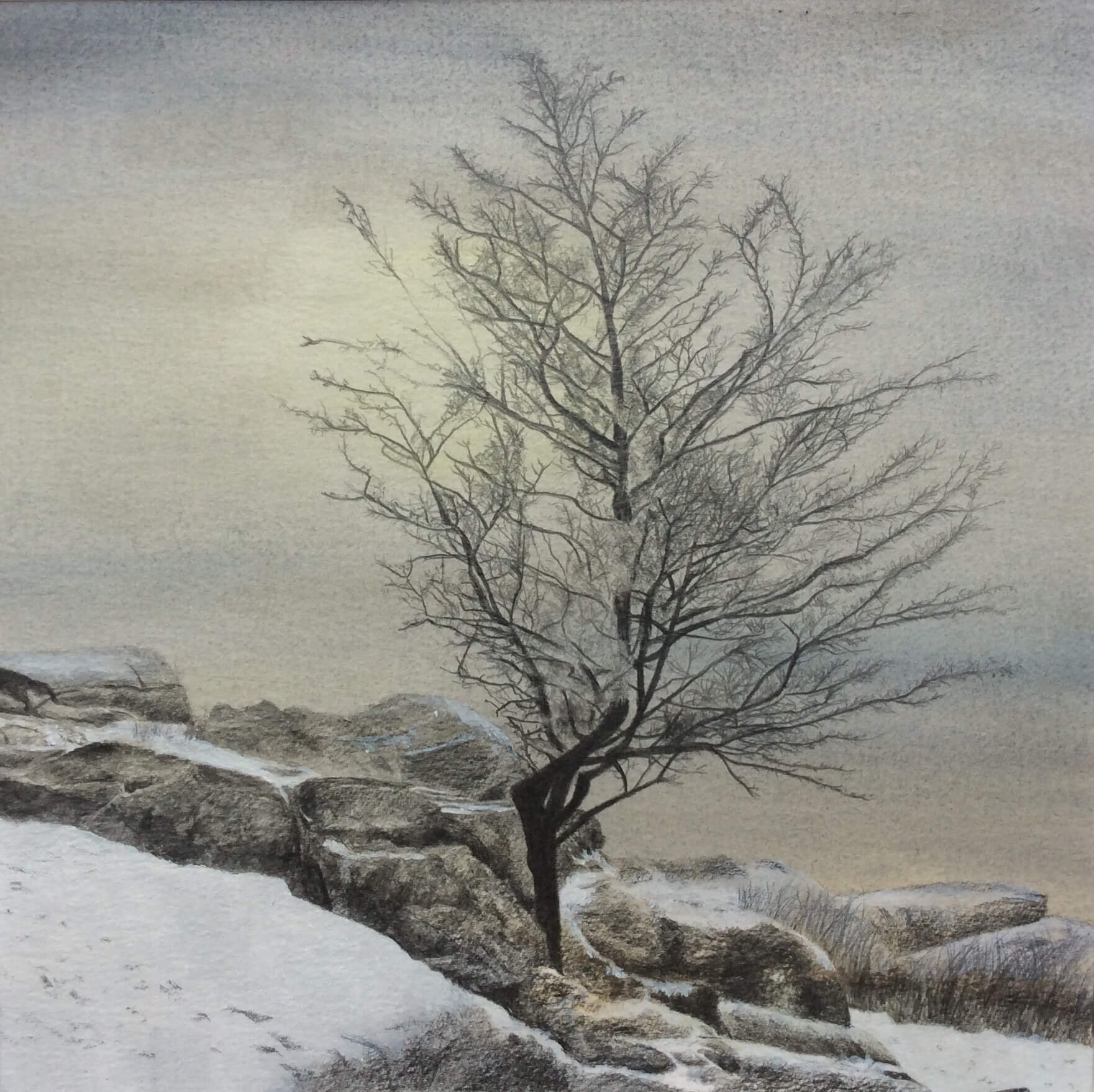 Tony Wetherill