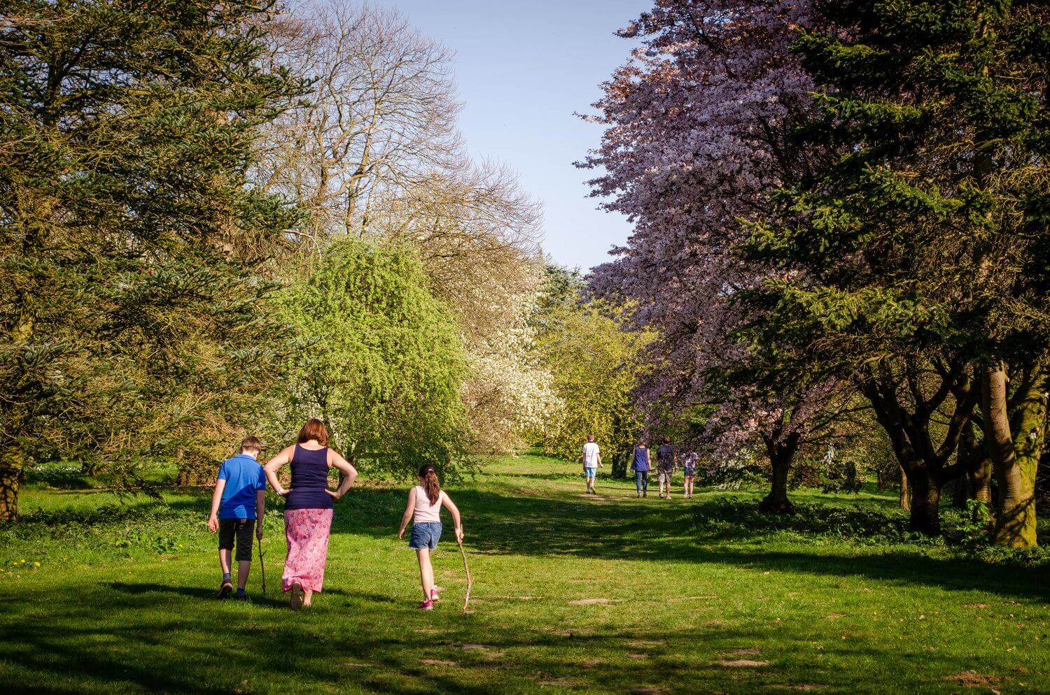 The Yorkshire Arboretum is now open daily