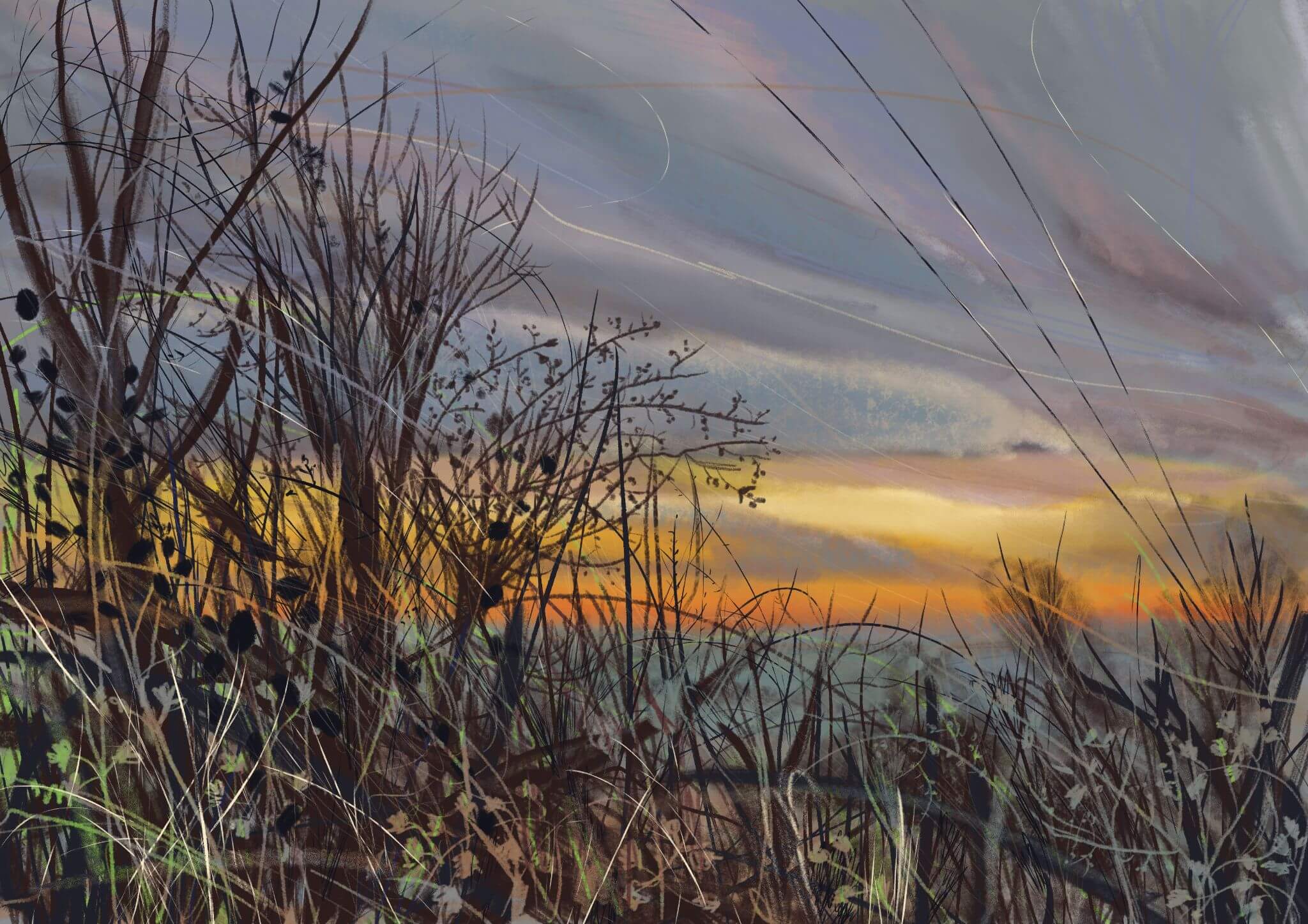 Sunset, Hawthorns