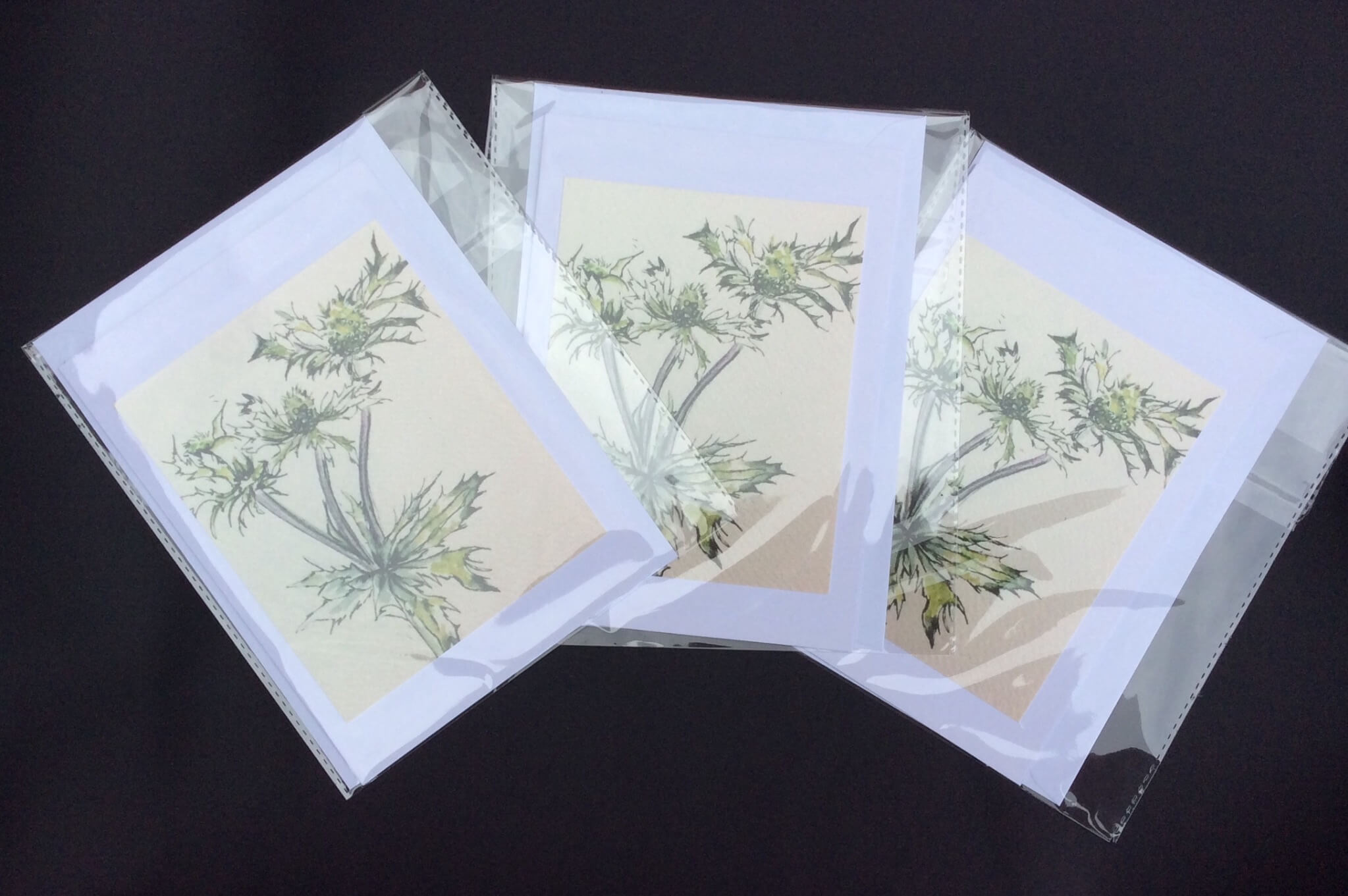 Cards inspired by sea thistle printed onto watercolour paper