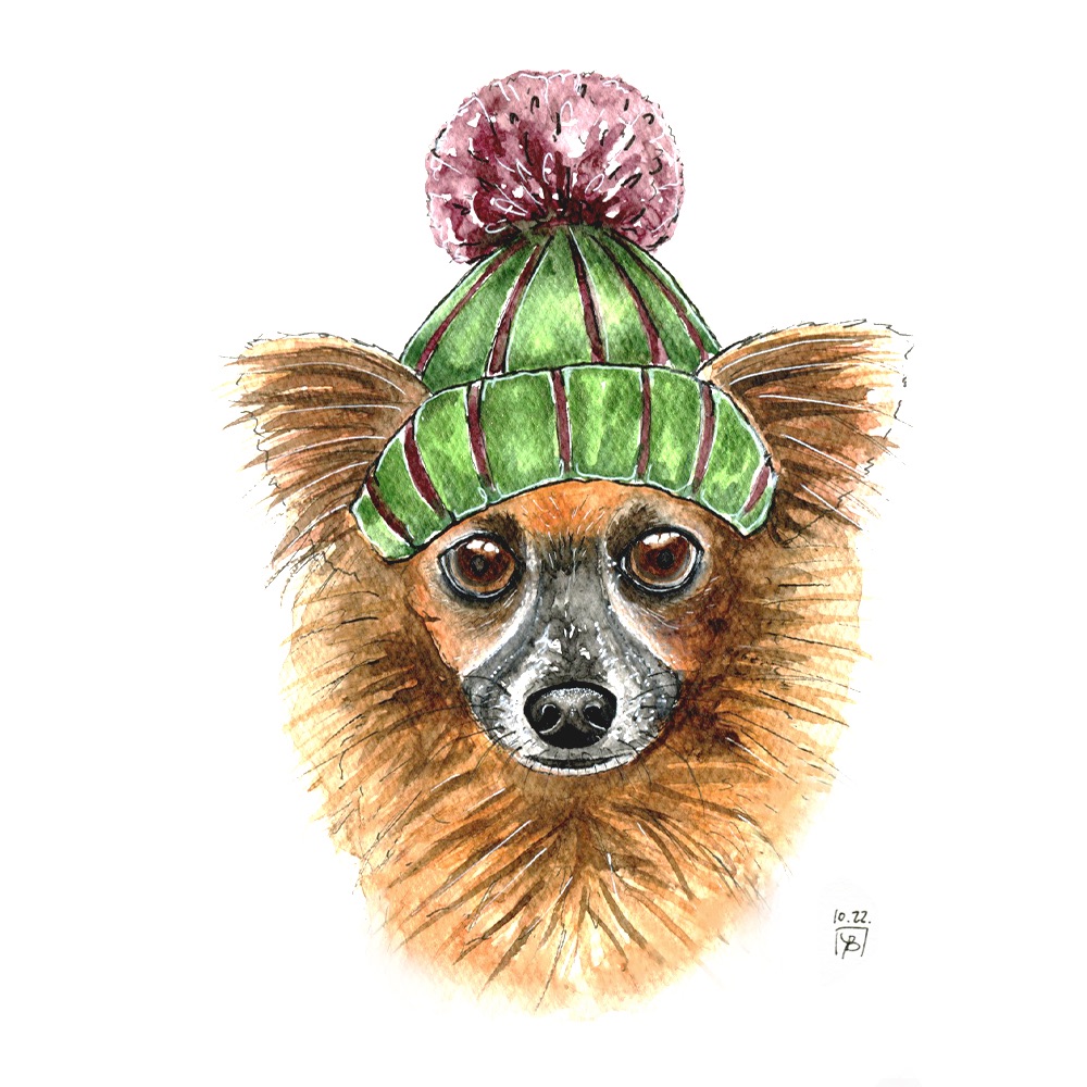 Watercolour dog portrait sketch