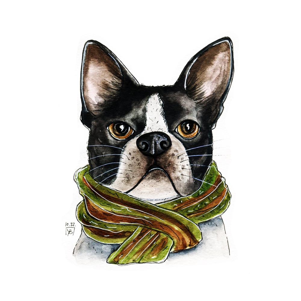 Watercolor dog portrait sketch