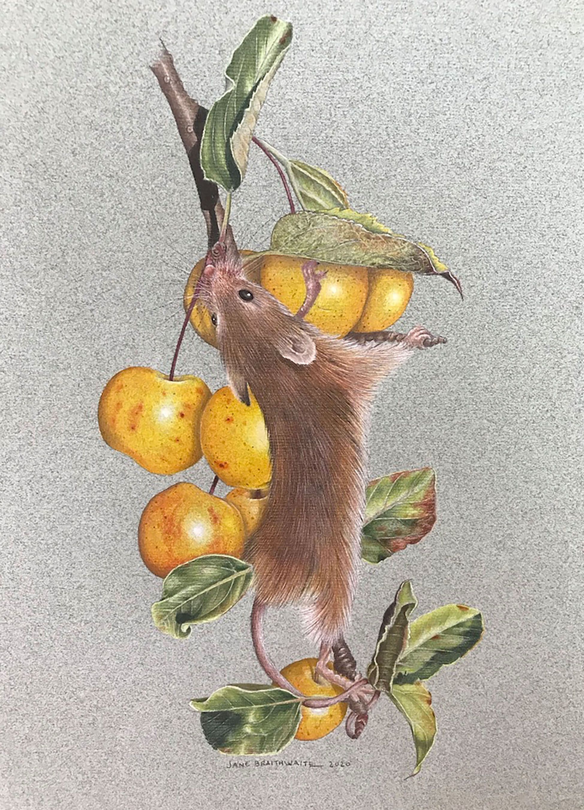 Harvest mouse on Crabapple