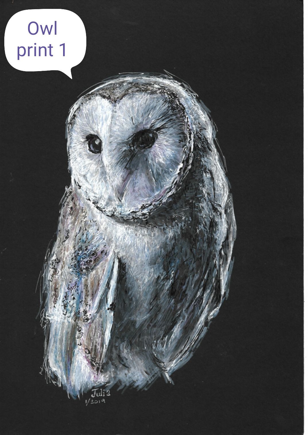 Owl one