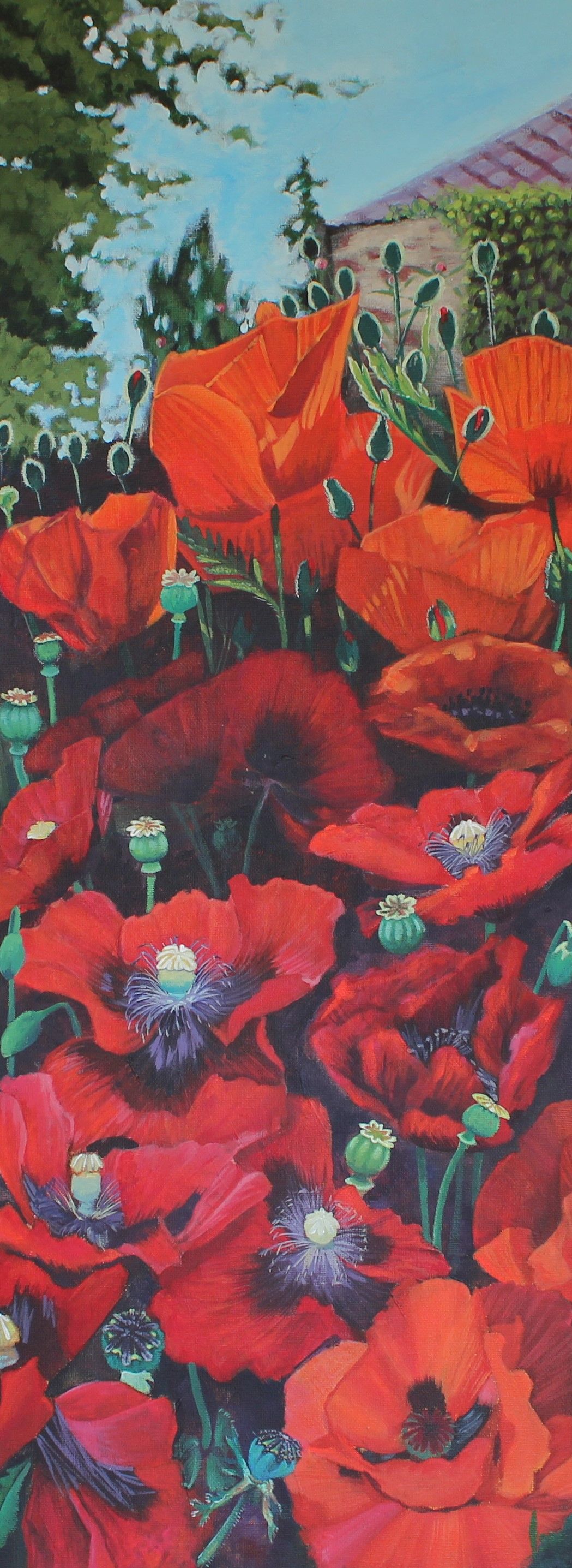 Perfect Poppies
