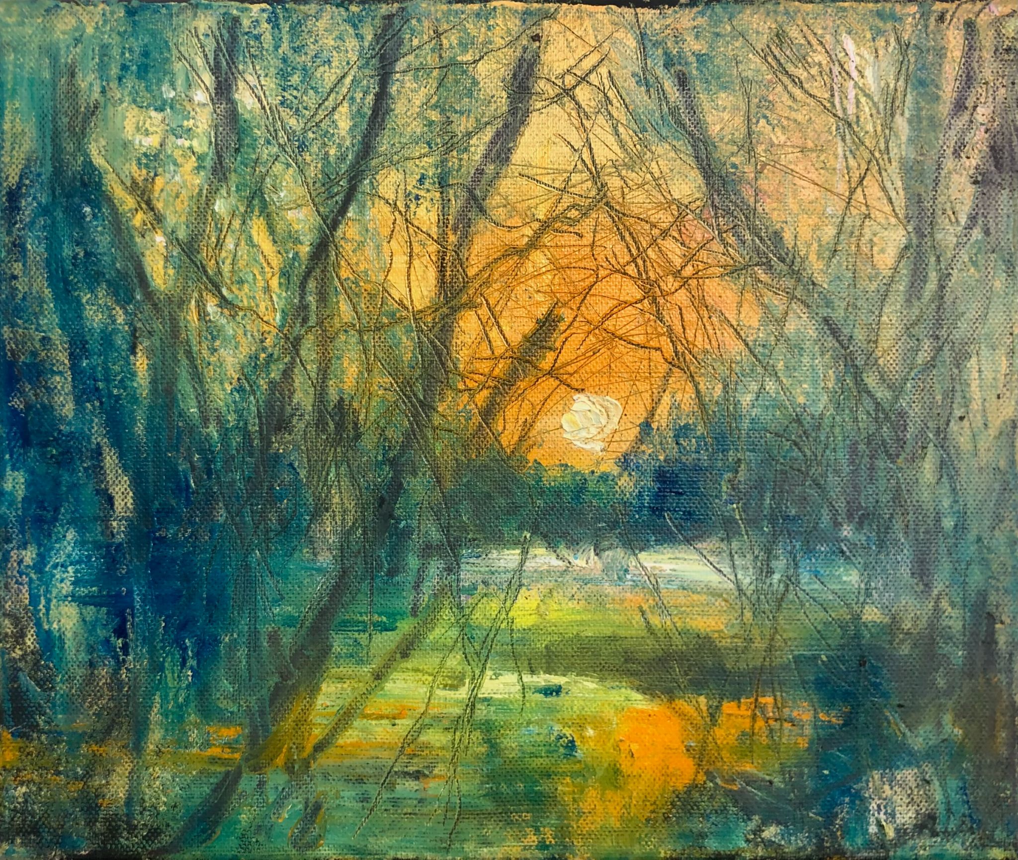 Sunrise through trees