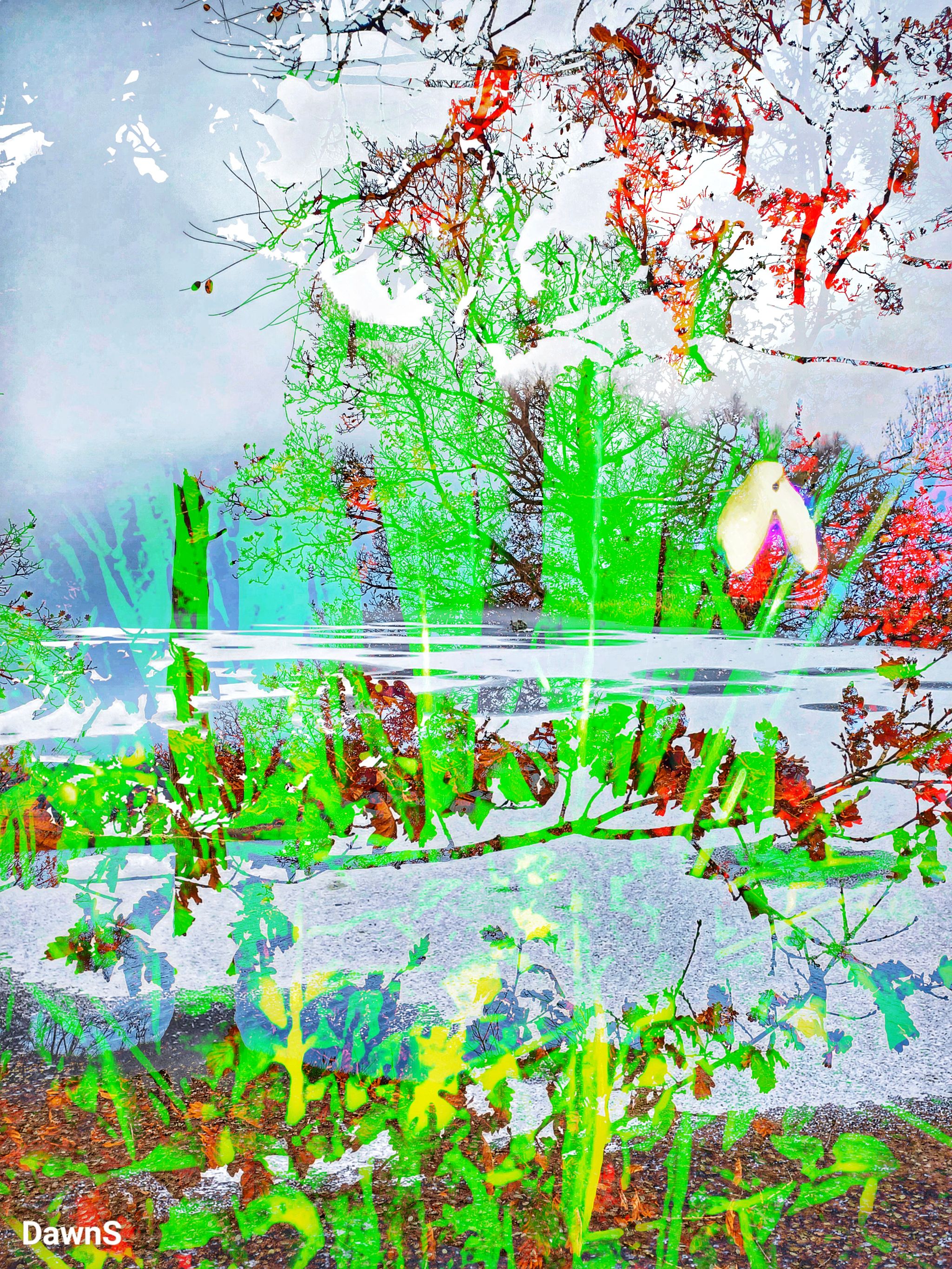 Transition from Winter to Spring