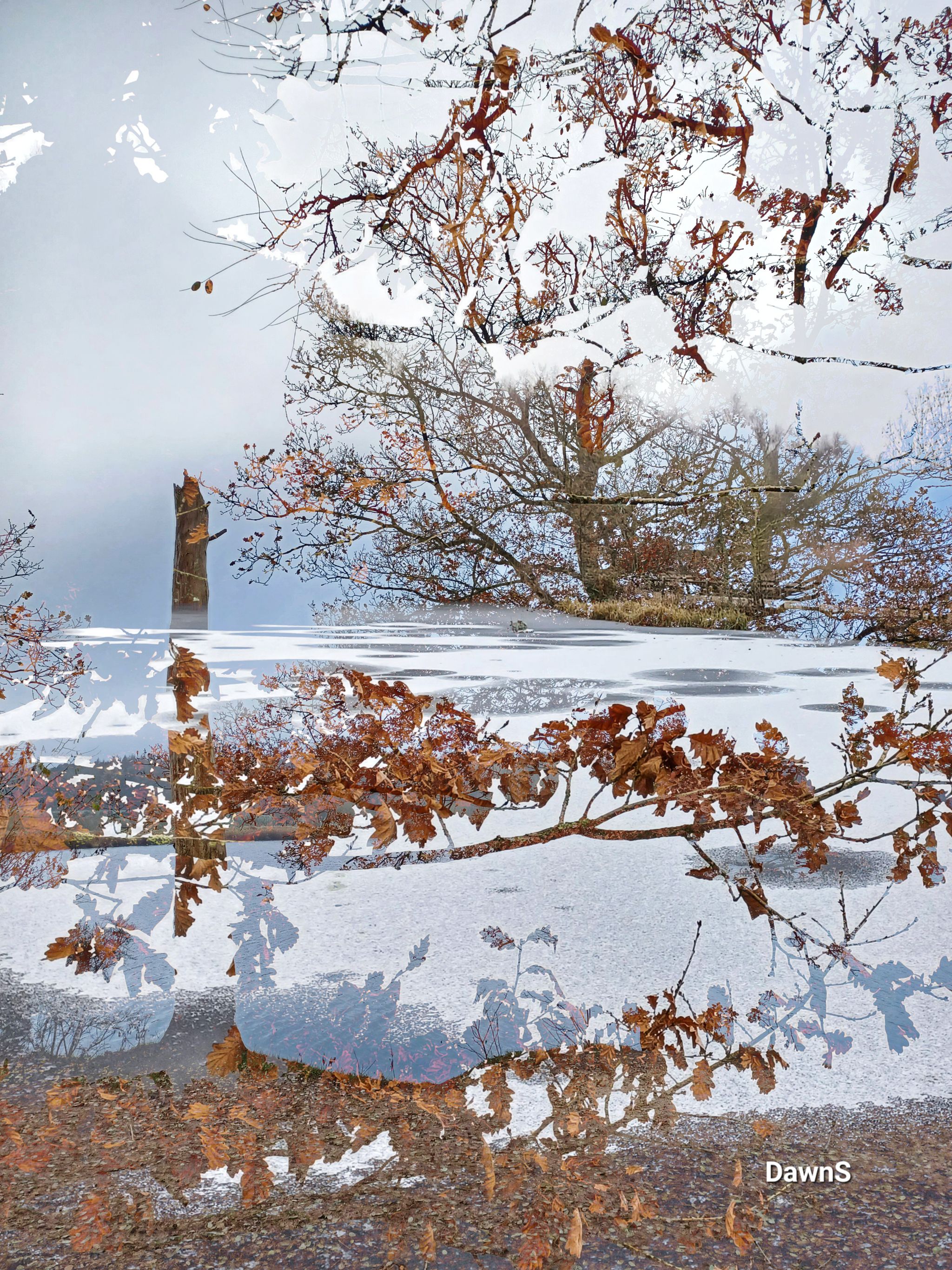 Transition from Autumn to Winter