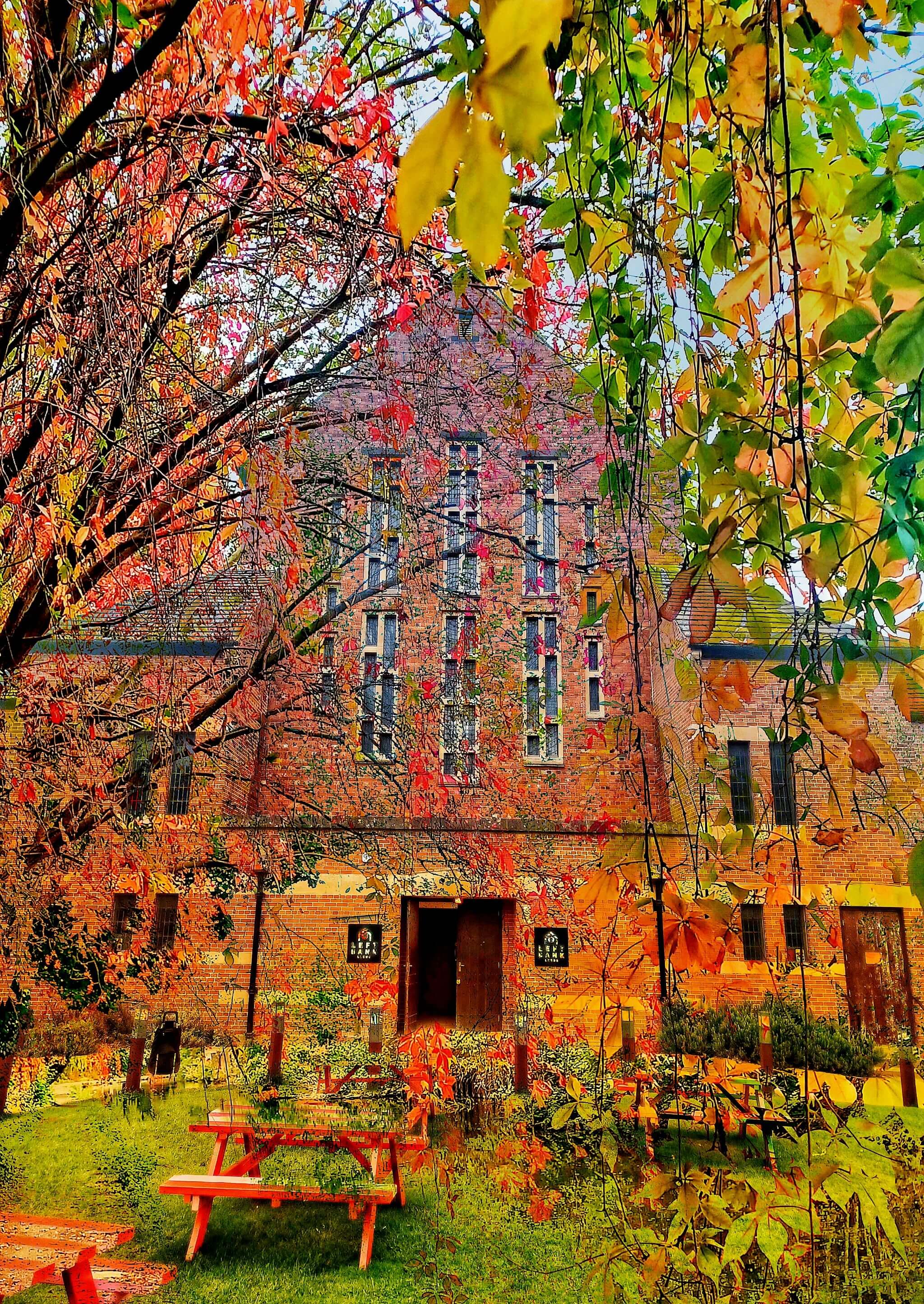 Left Bank’s Autumn!