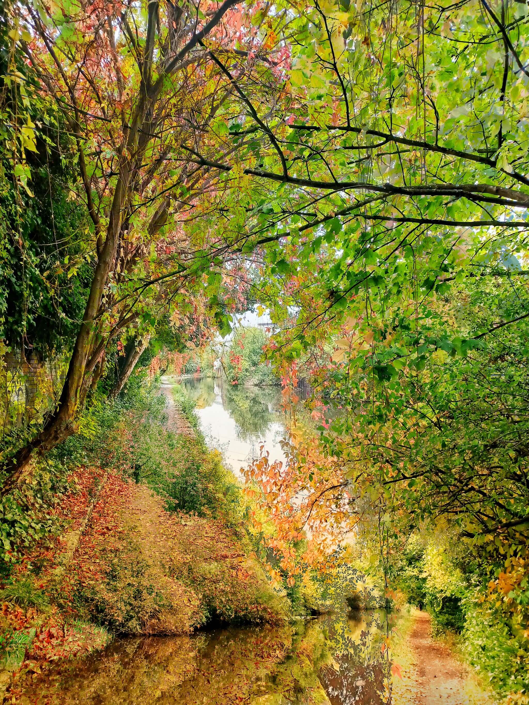 Autumn on the Canal II