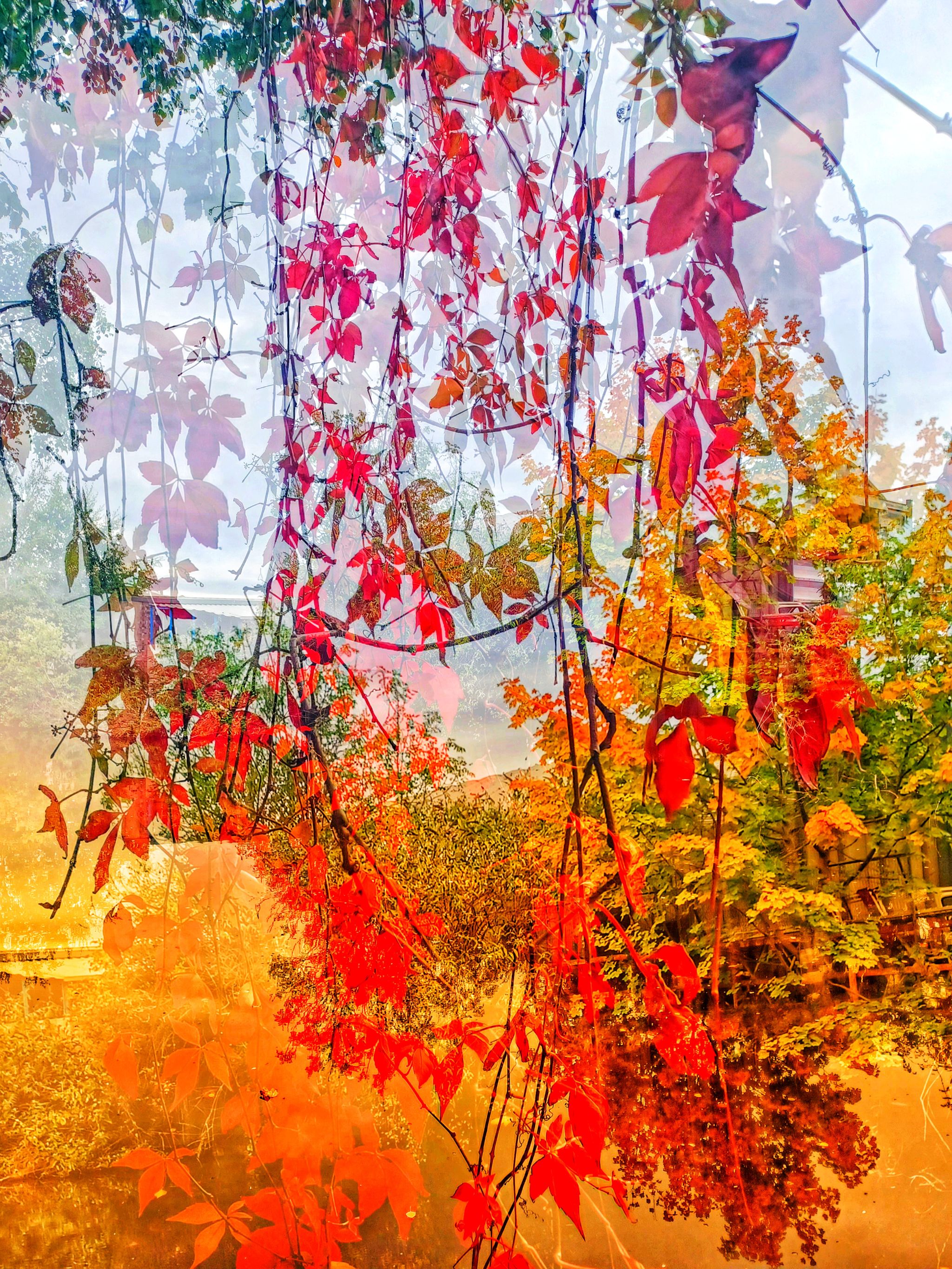 Autumn on the Canal I