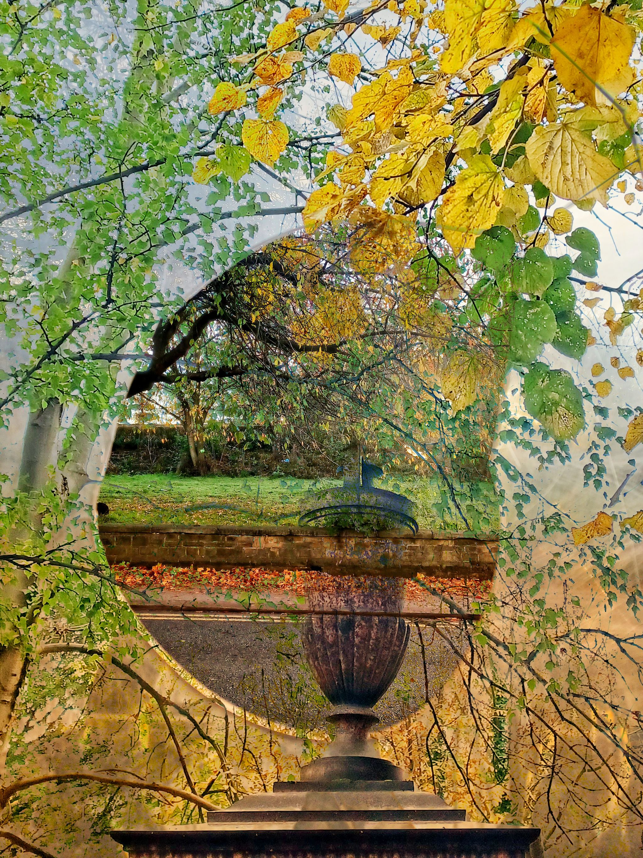 Nature through the Hole