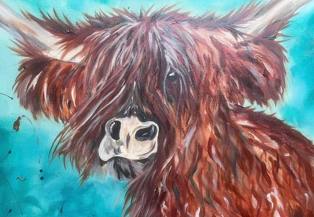 McKenzie the Highland Coo