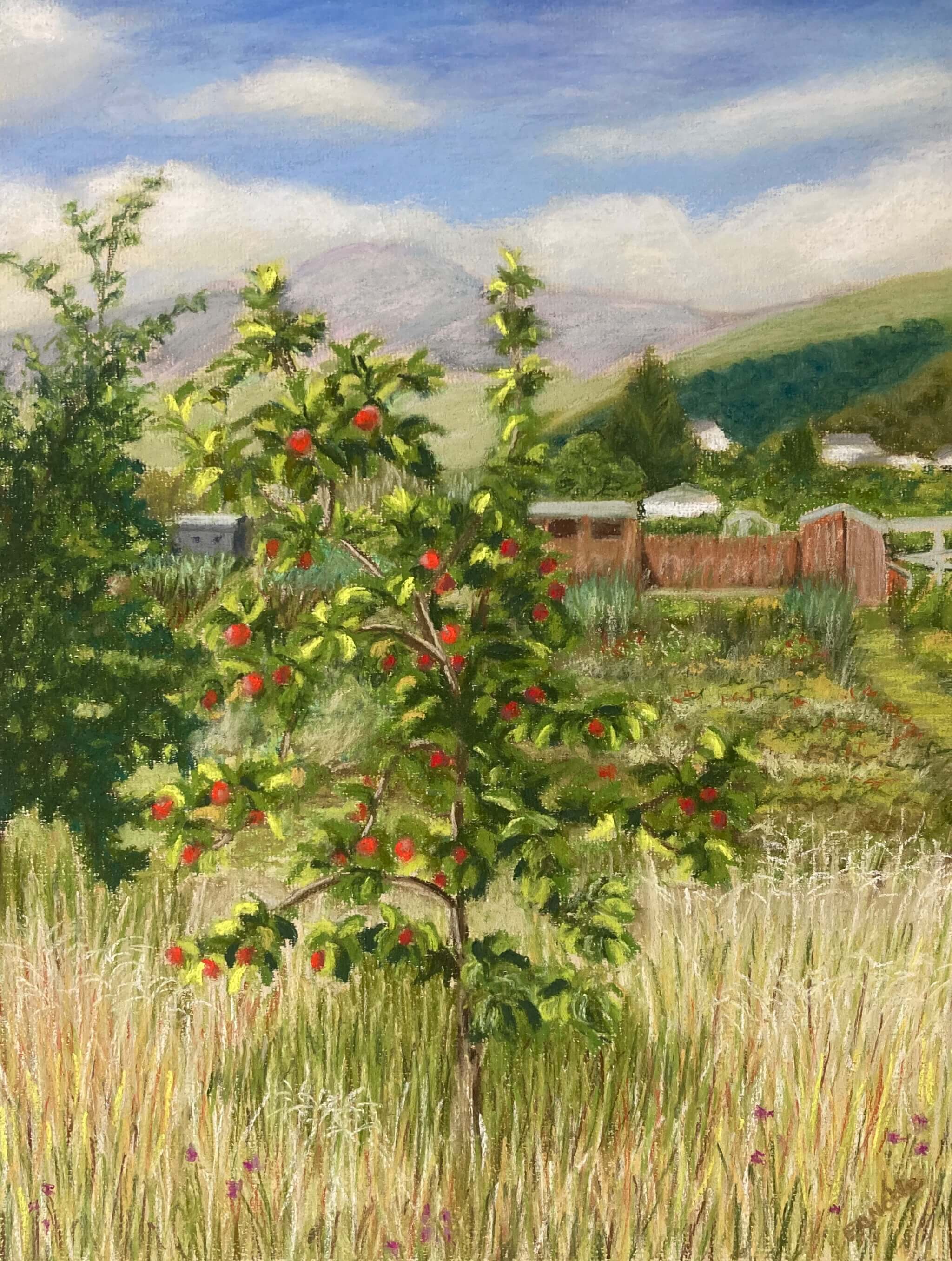 The Apple Tree