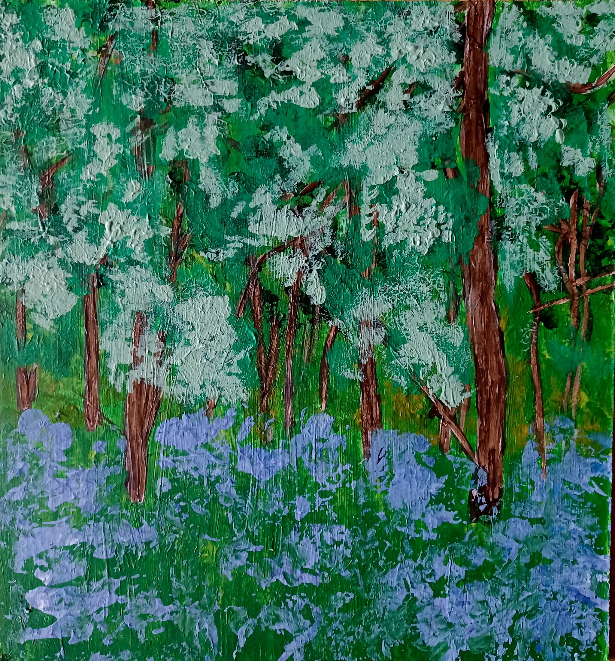 Bluebells in Woods