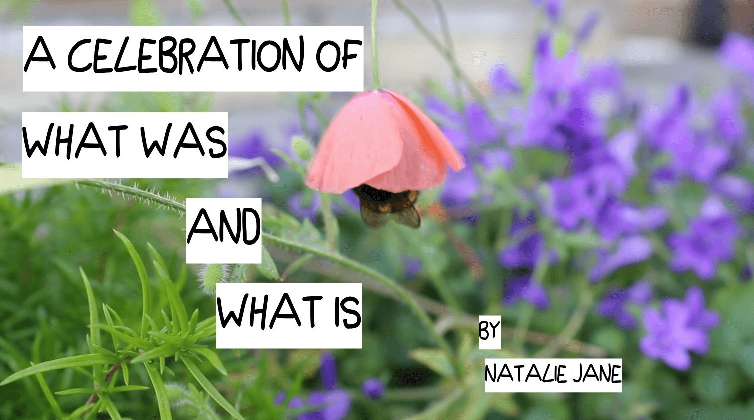 A Celebration of what was and what is – Video