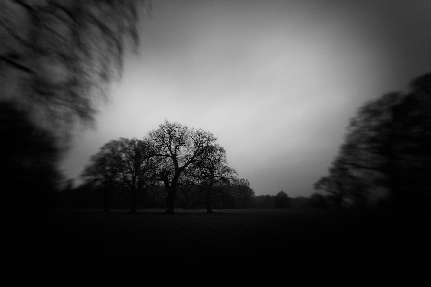 Pinhole Photo of a Derive #05