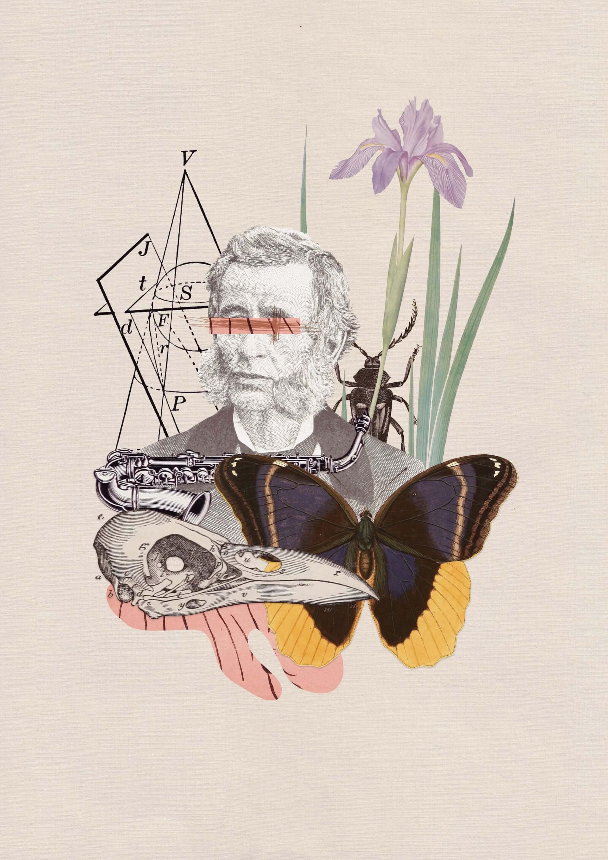 Collage #13