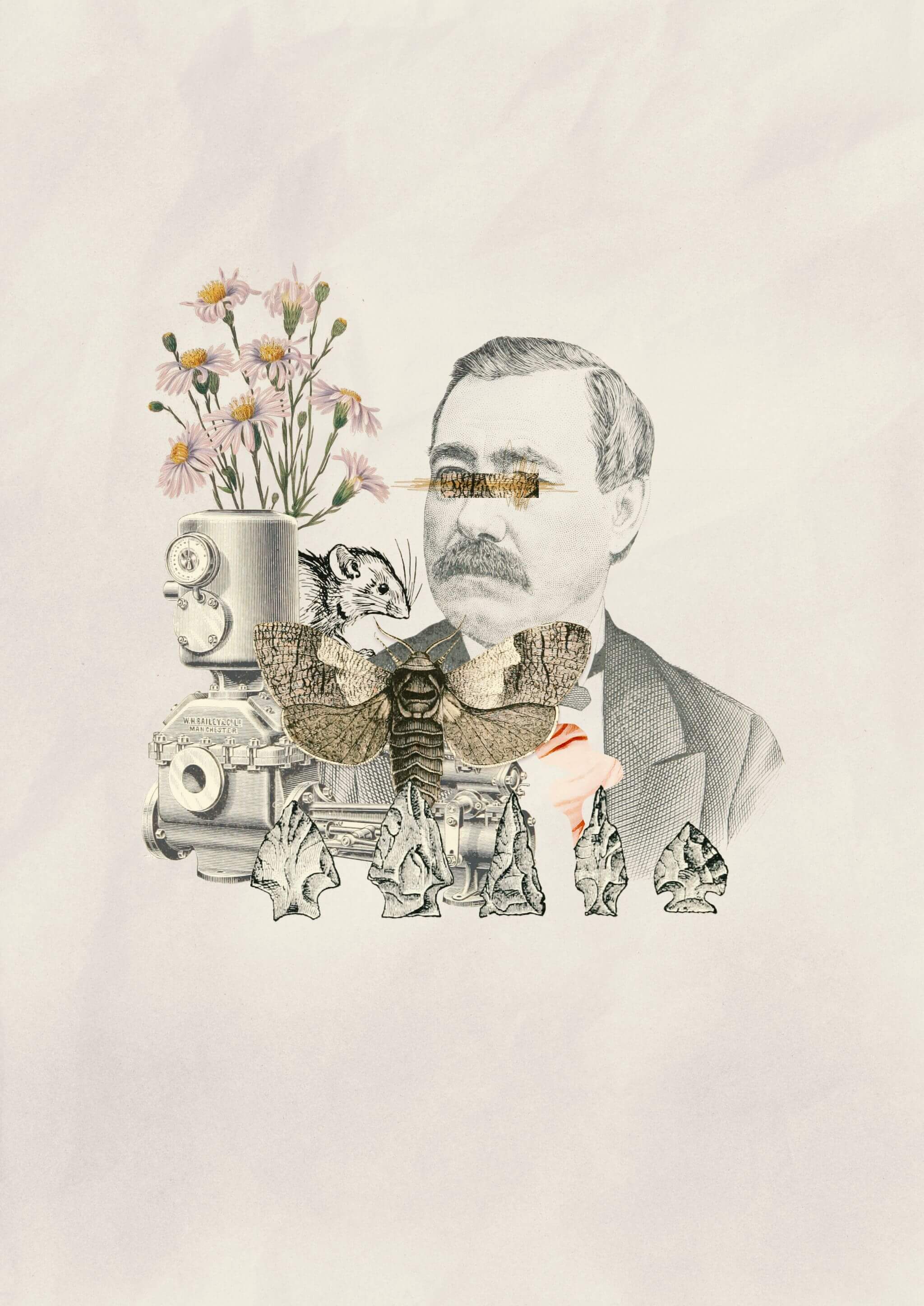 Collage #14