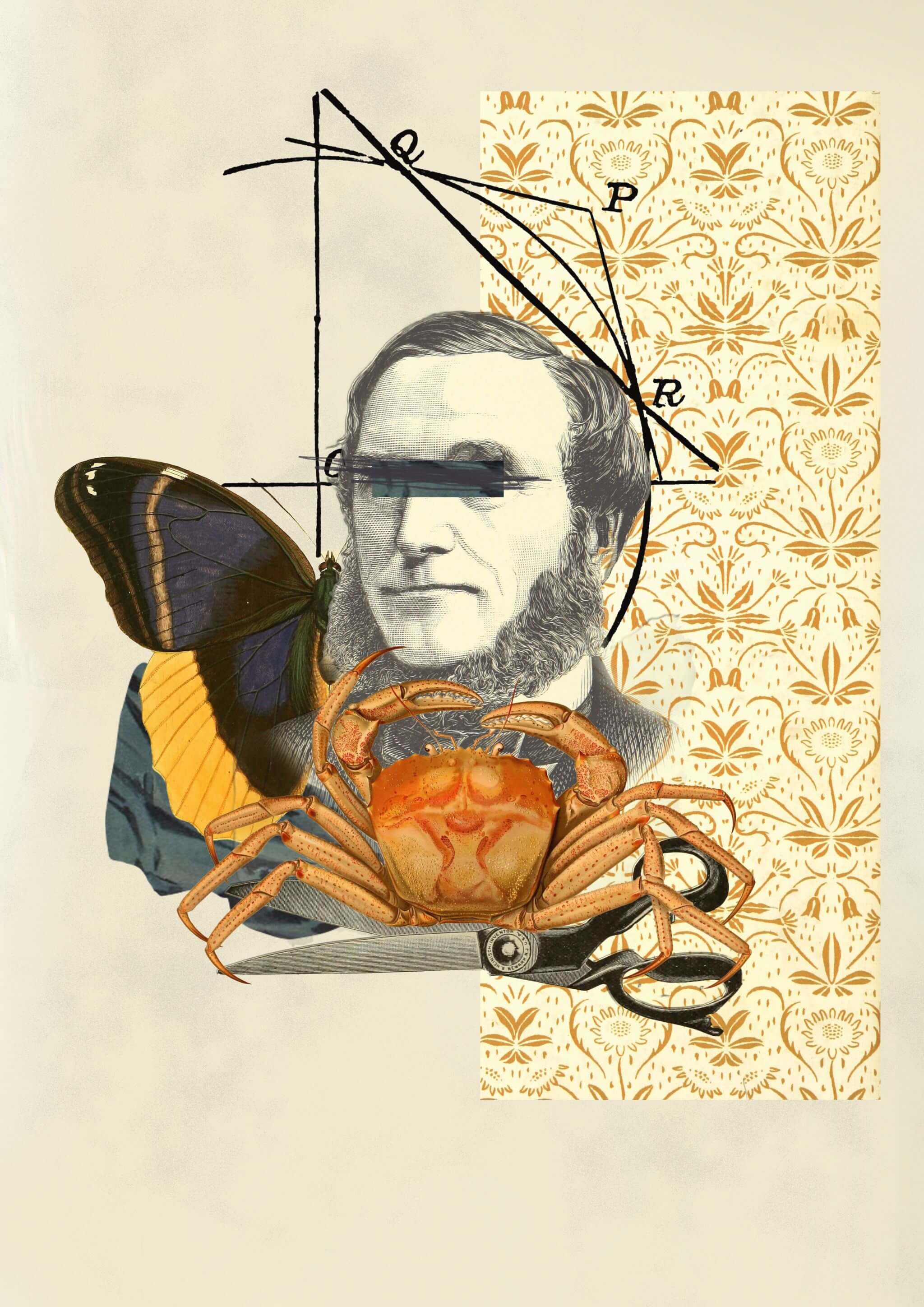 Collage #22