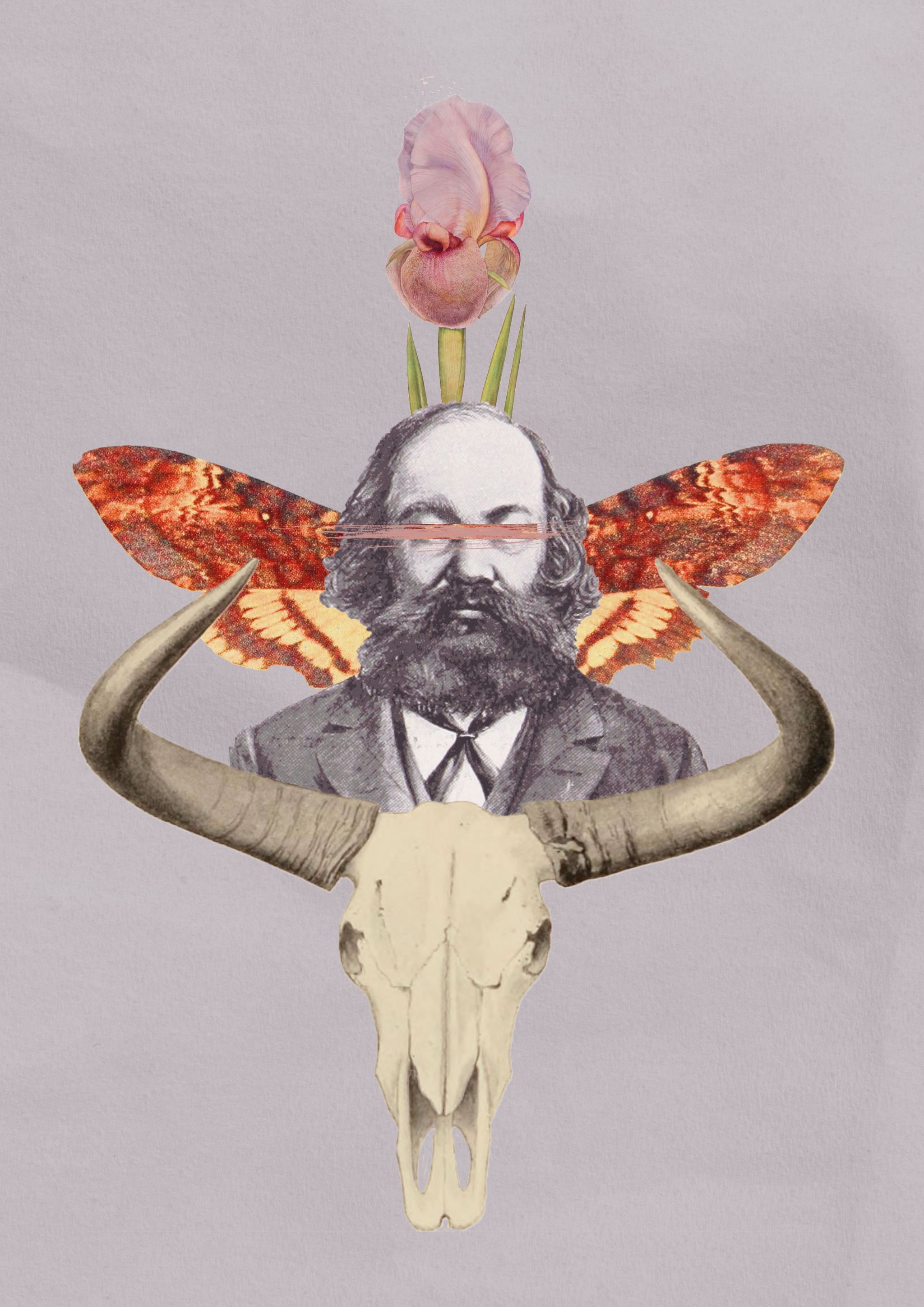 Collage #21