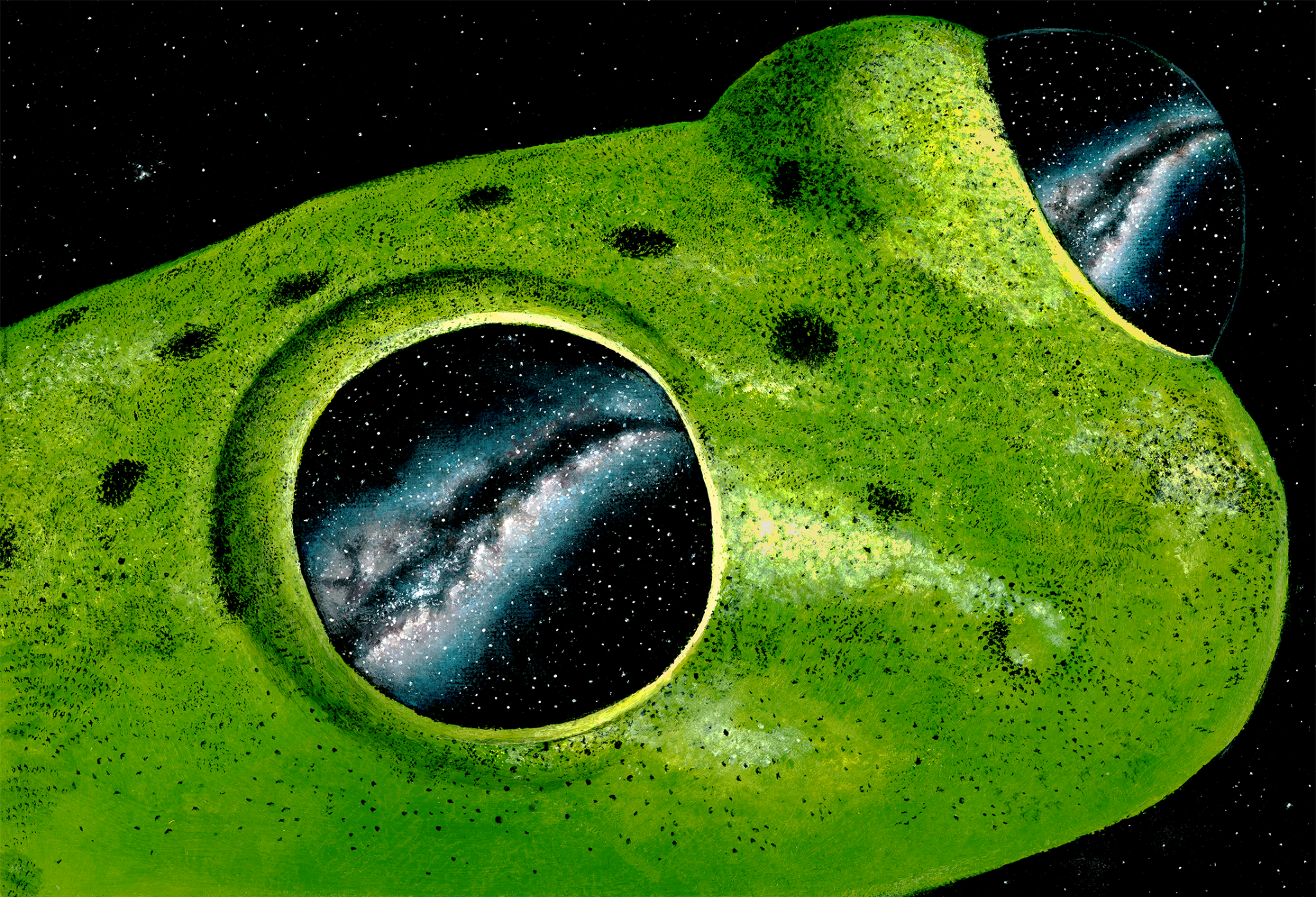 Starry Eyes Frog