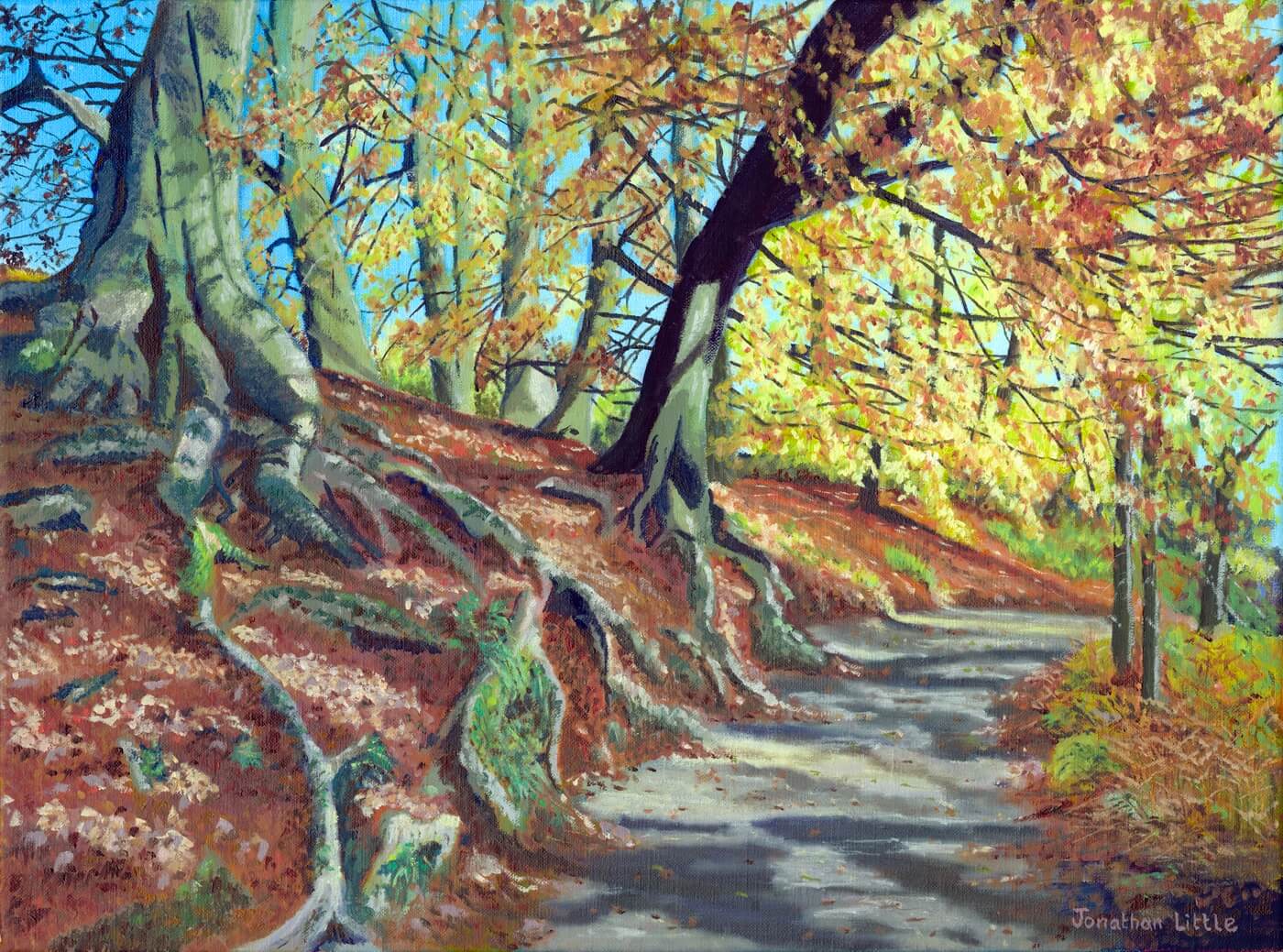 Strid Woods, Bolton Abbey