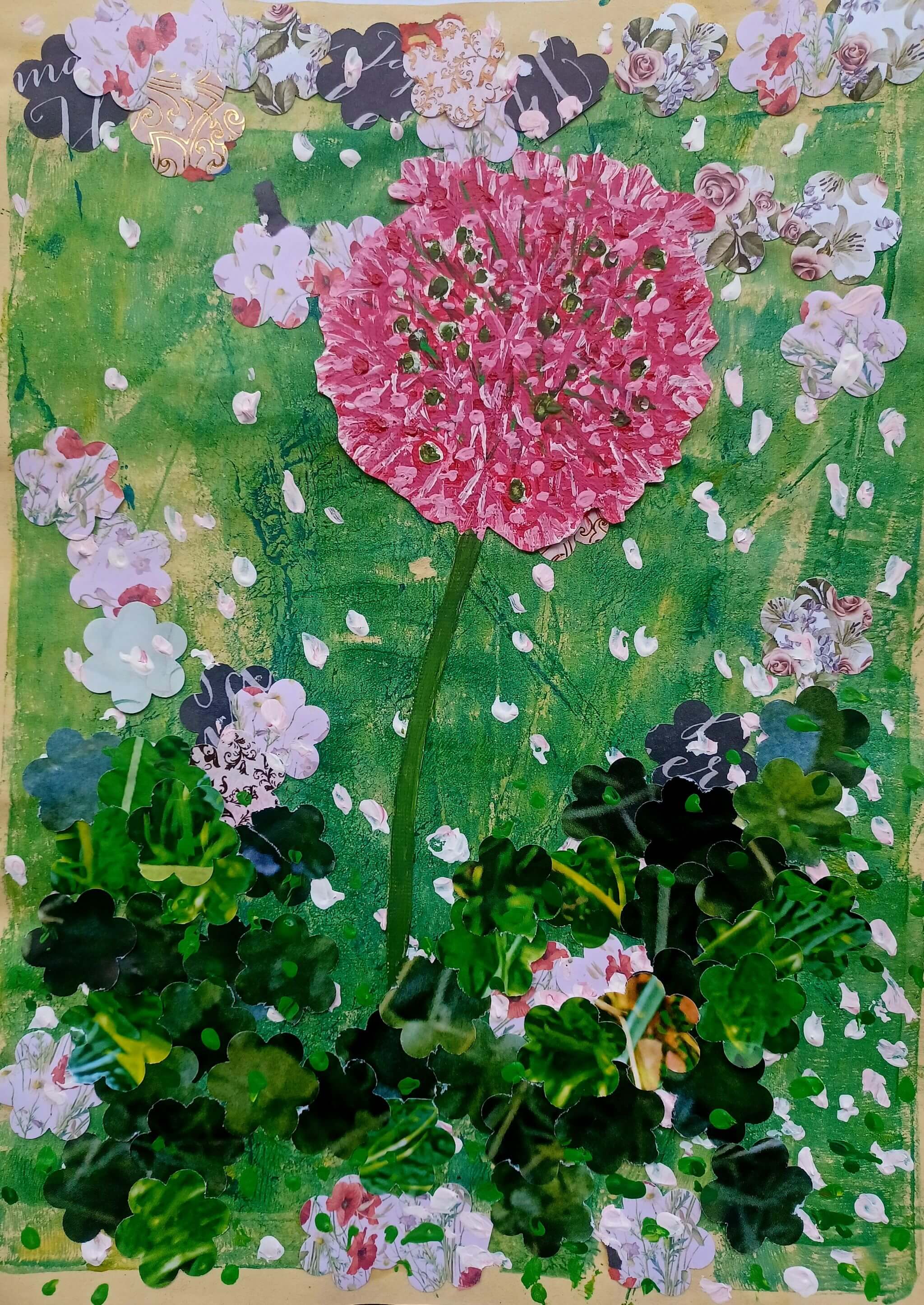 Pink Allium