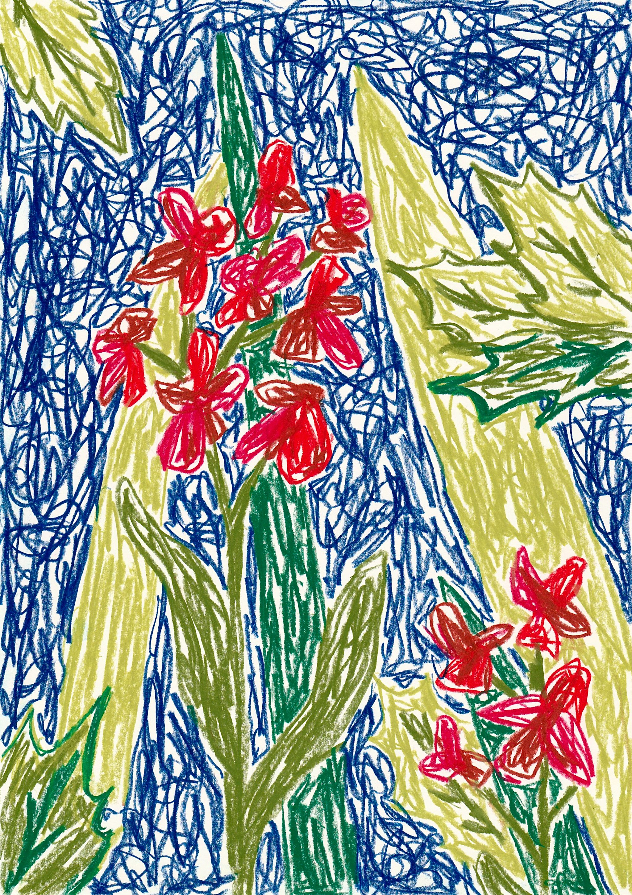 Red Night Flower
