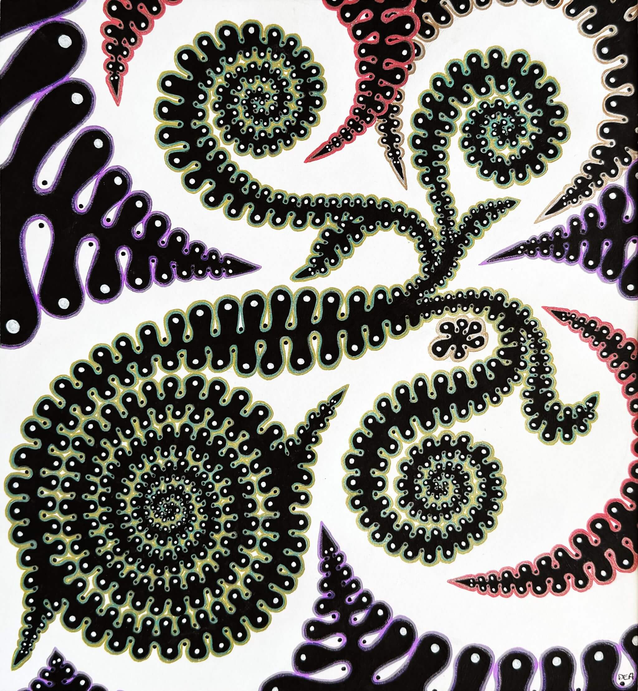 Nautilus