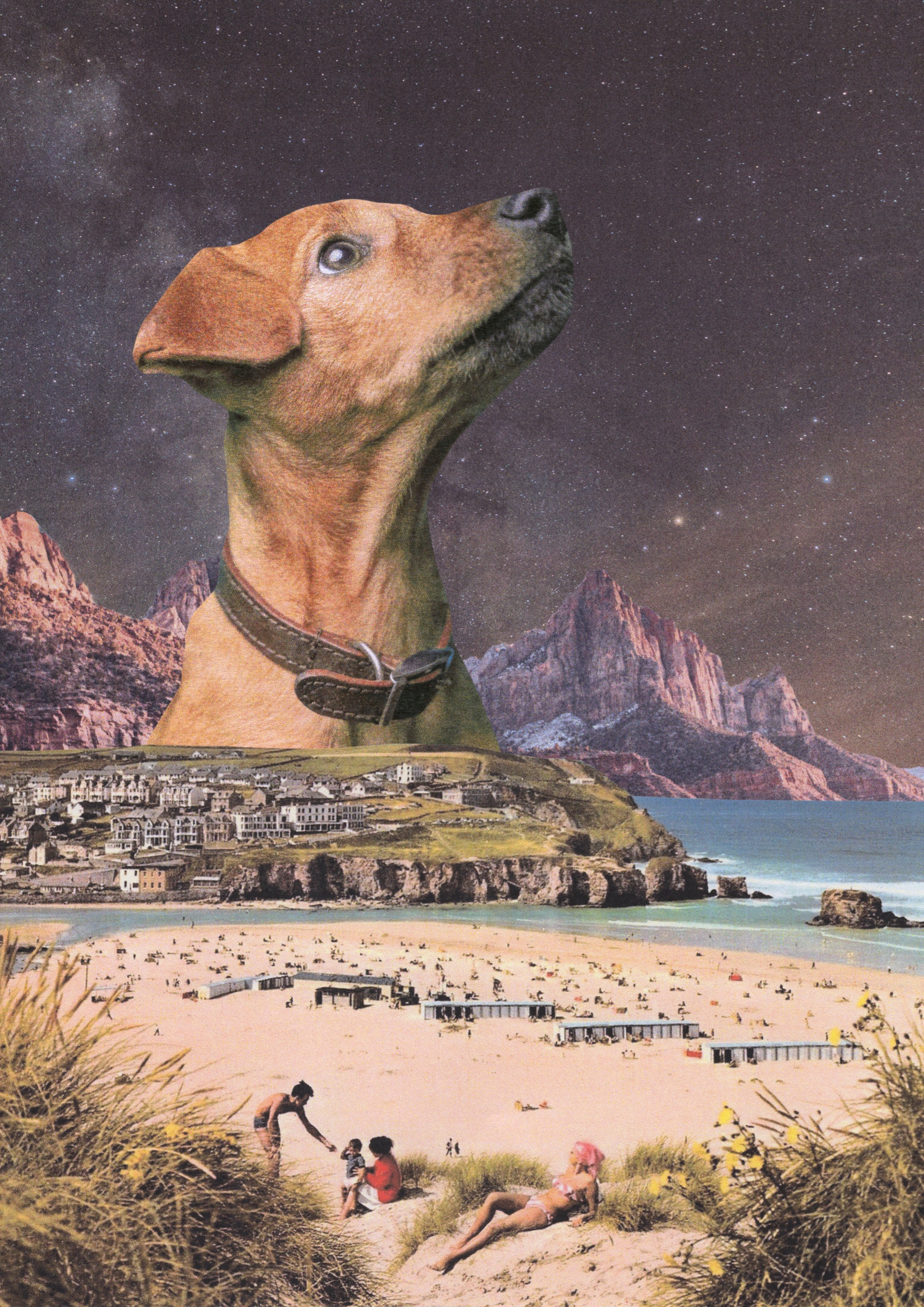 Collage #73