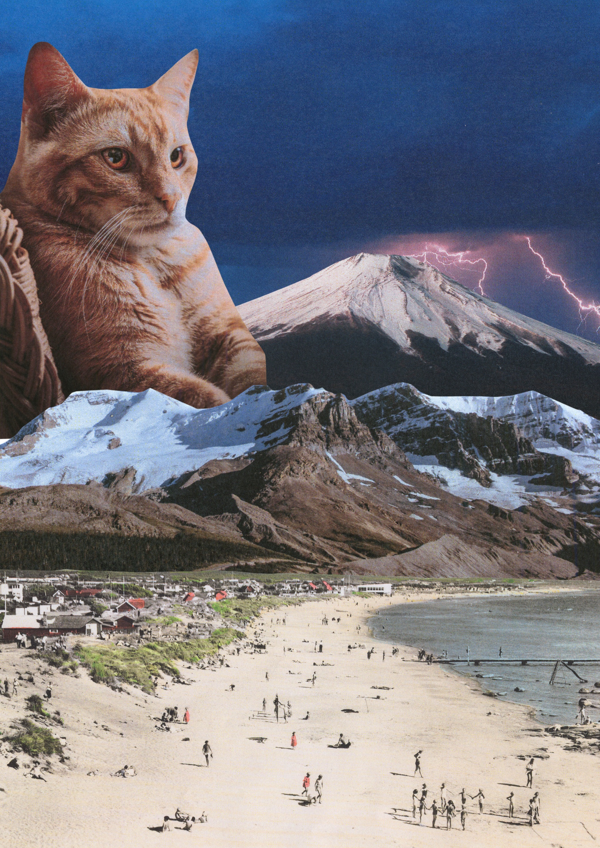 Collage #77