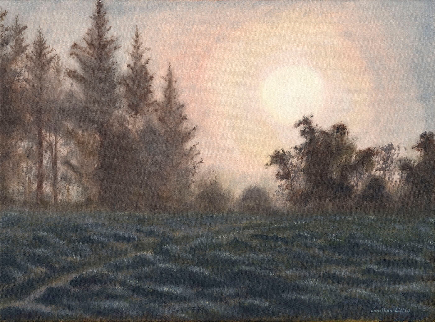 Early Light Through Mist – Flasby High Woods