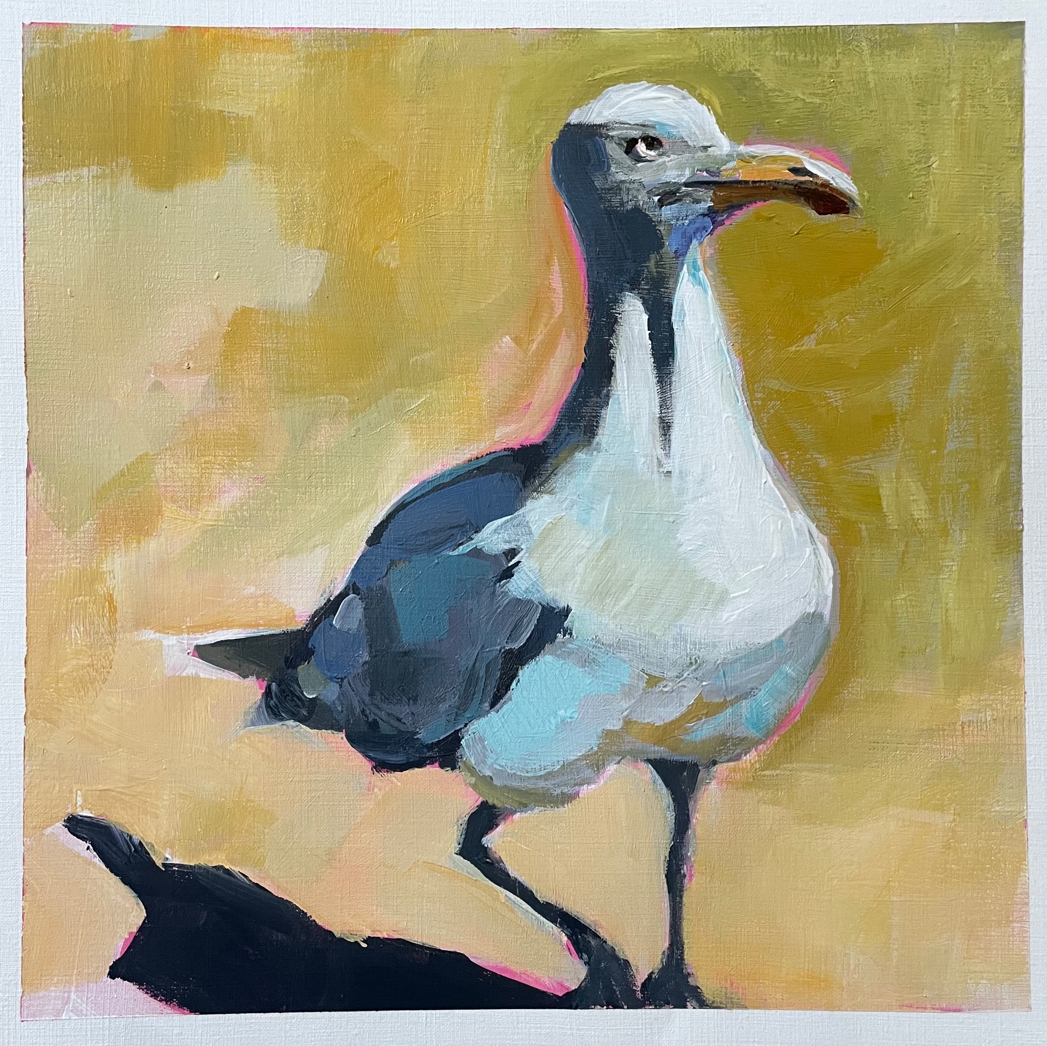 Seagull mini